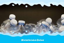 Can You Recycle Crushed Water Bottles