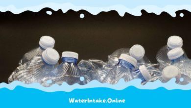 Can You Recycle Crushed Water Bottles