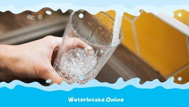 Is Gainesville Tap Water Safe to Drink